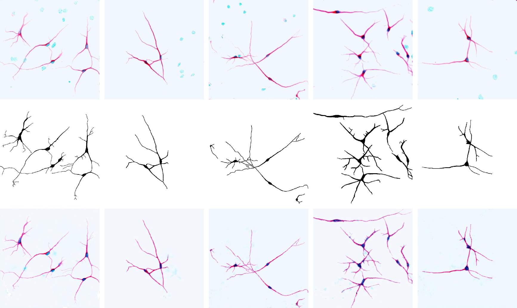 Fila-GAN 2d neuron visual result